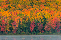 Autumn Beach and Maple Forest, Ottawa National Forest, Ultimate Autumn Forests and Lake Superior Shoreliine Tour, MI