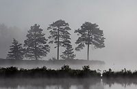 Seney Wildlife Refuge