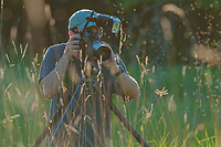 Particpant Photographing Dragonfly, Summer Safaris, Michigan