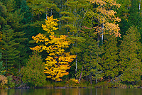Autumn, Eastern Upper Peninsula, Michigan