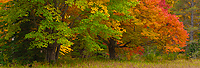 Autumn Panoramic, Upper Peninsula, Michigan