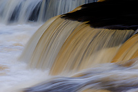 Tahquamenon River