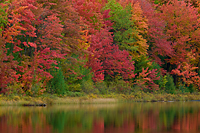 Autumn Reflections on Lake, Northern Michigan