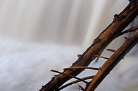 Tahquamenon River, Tahquamenon Falls State, Park, Michigan