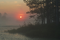 Tahquamenon Watershed, Seney National Wildlife Refuge and Niagara Escarpment, Michigan - All Skill Levels Workshop