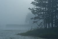 Tahquamenon Watershed, Seney National Wildlife Refuge and Niagara Escarpment, Michigan - All Skill Levels Workshop