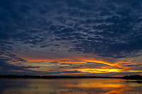 Sunset, Foggy Bogs and Dewy Insects Workshop, Michigan