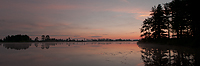 Sunrise, Foggy Bogs and Dewy Insects Workshop, Michigan