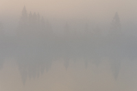 Foggy Bogs and Dewy Insects Workshop, Michigan
