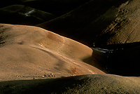 Bentonite Formation, Utah