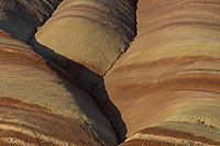 Bentonite Hills, Capitol Reef National Park, UT