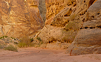 Lower Spring Canyon, Capitol Reef National Park, Utah