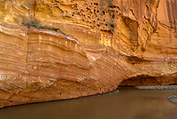 Fremont River, Capitol Reef National Park, Utah