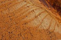 Section of Canyon Wall, Grand Staircase / Escalante National Monument, UT