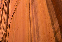 Wingate Sandstone, Capitol Reef National Park, Utah