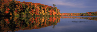 Autumn Color