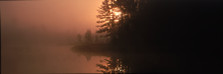 Foggy Lake