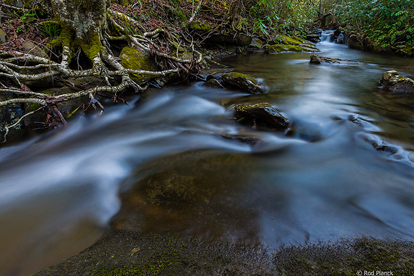 Tributary of the Tellico River, TN
