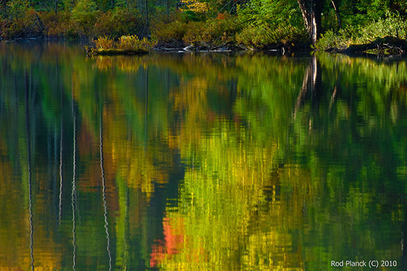 Ultimate Autumn Forests, Wild Rivers and Waterfalls Tour