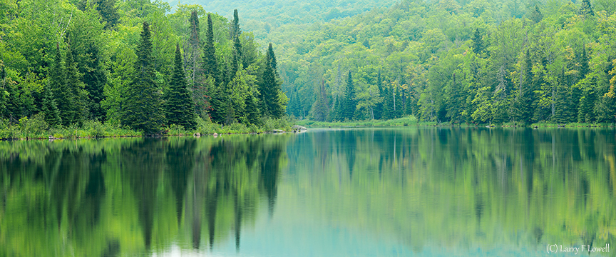 Ultimate Spring Forests, Wild Rivers and Waterfalls