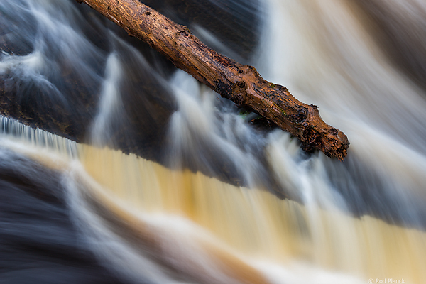 Ultimate Spring Forests, Wild Rivers and Waterfalls