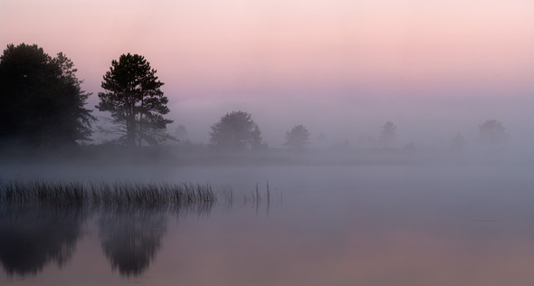 Foggy Sunrise, Seney National Wildlife Refuge, MI